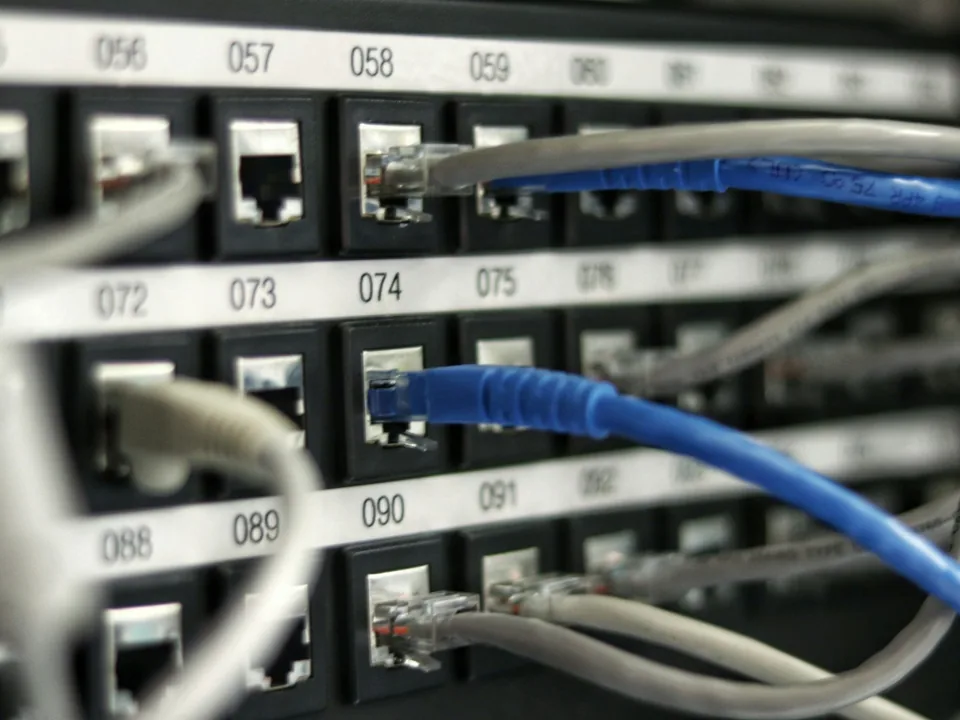 Baie de brassage : câbles Ethernet connectés à un commutateur réseau lors d'un audit d'infrastructure